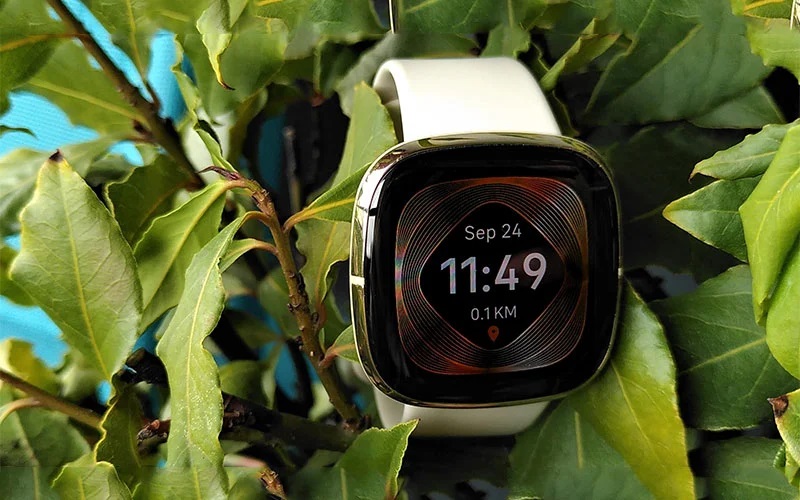 Fitbit Sense Smartwatch: Your Guide to Holistic Health and Empowered Living